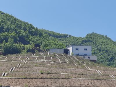 首页 - CQ9电子官方网站