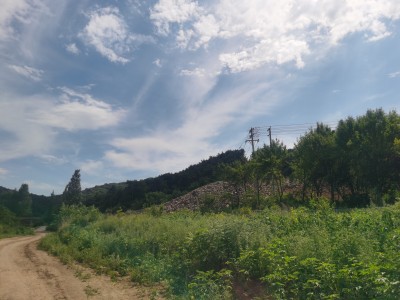 首页 - CQ9电子官方网站