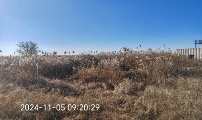 首页 - CQ9电子官方网站