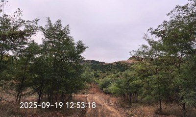首页 - CQ9电子官方网站